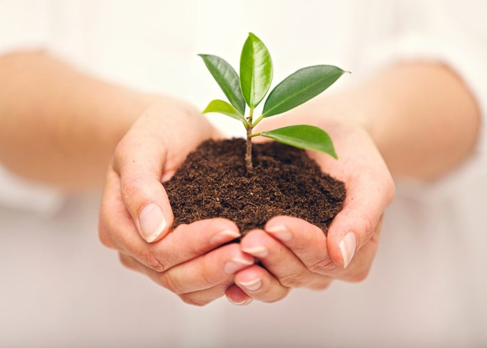 Por una vida más orgánica y eco-amigable.