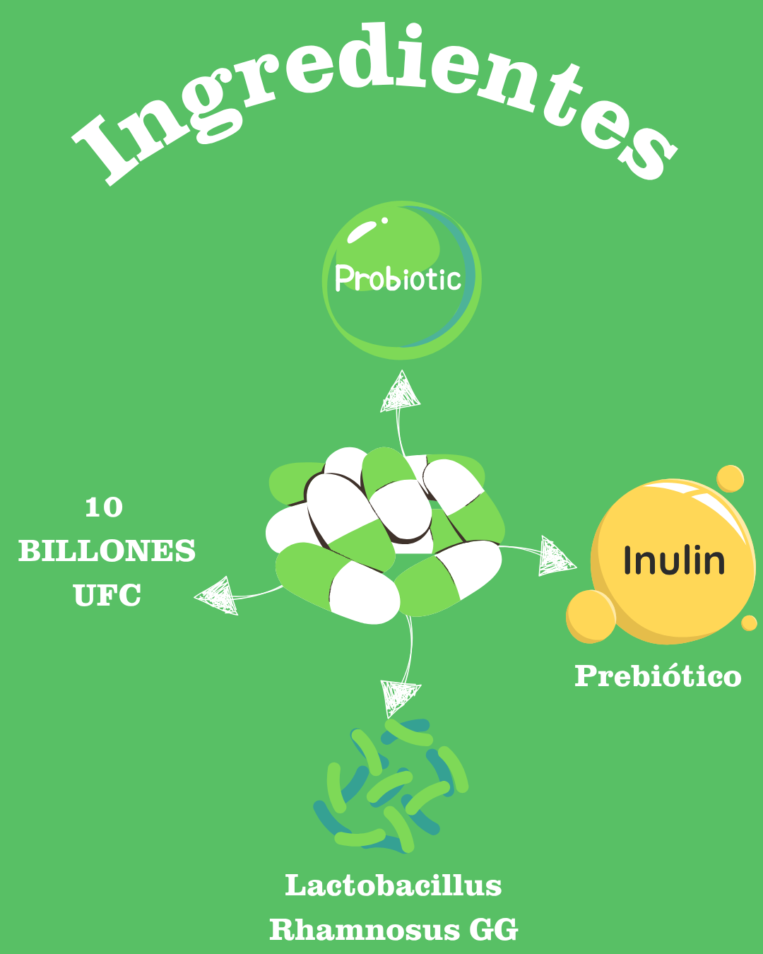 PROMO IMPERDIBLE (Tiempo limitado) Digestive Adultos (1 mes) + Digestive Kids (15 días Gratis) Greenr Nutrition