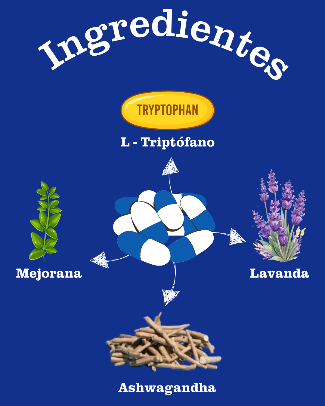 Stress & Anxiety Adulto